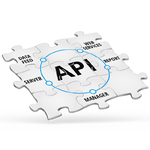 Open API